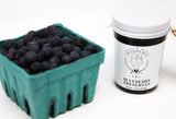 Blueberry Preserves with Blueberries