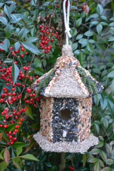 EDIBLE BIRD HOUSES W/ ELENA ON WEDNESDAY JANUARY 29TH @ 4:30-5:30