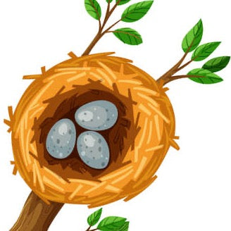 LITTLE EXPLORERS DISCOVER: BIRD'S NEST - FOR AGES 1-3 ON TUESDAY, MAY 28TH @ 10:00AM